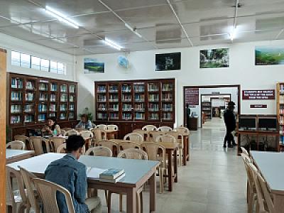 Library