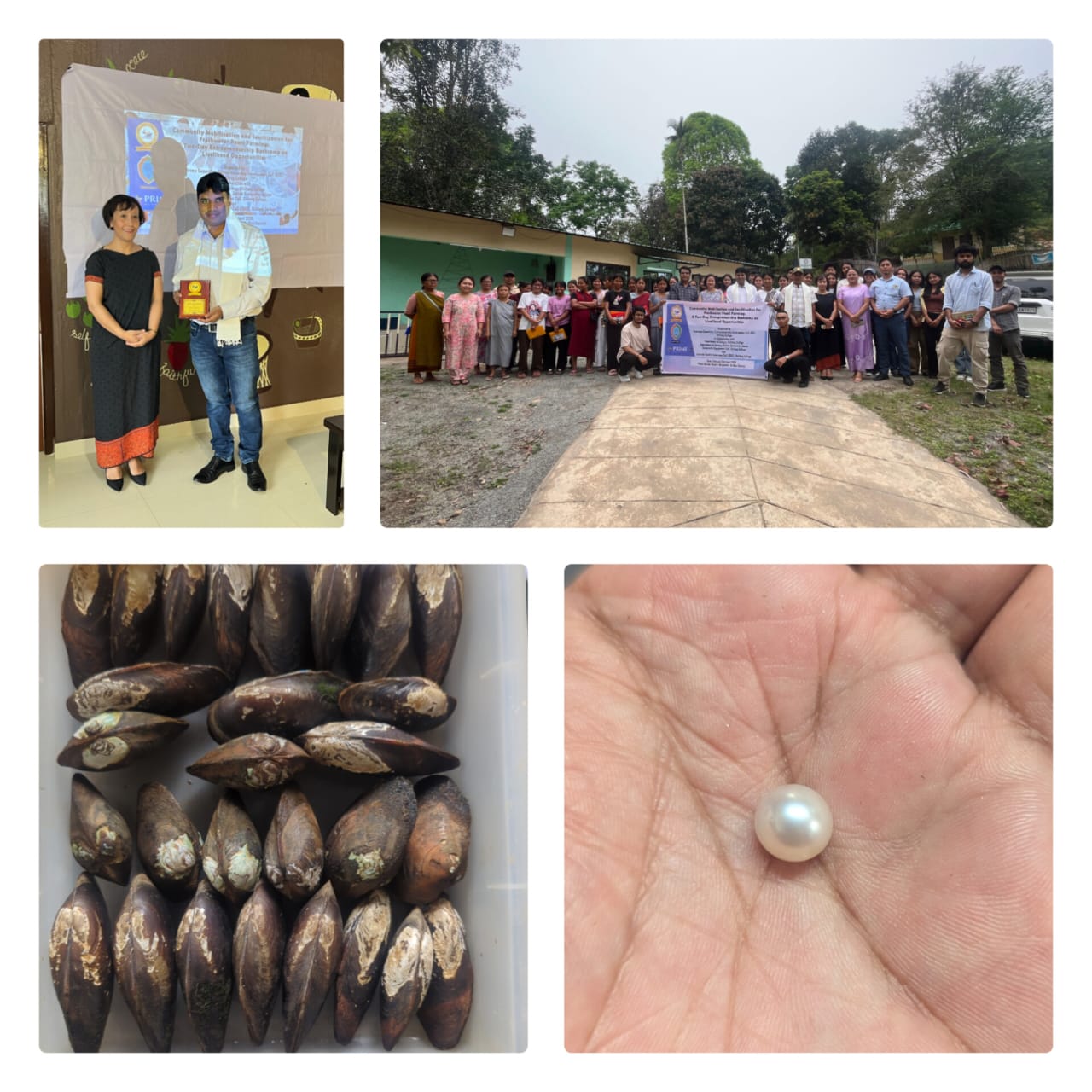 Community Mobilization and Sensitization for Freshwater Pearl Farming